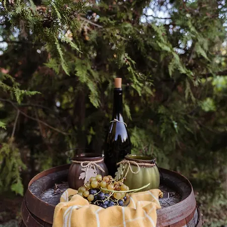 Erdőalján Házikó *